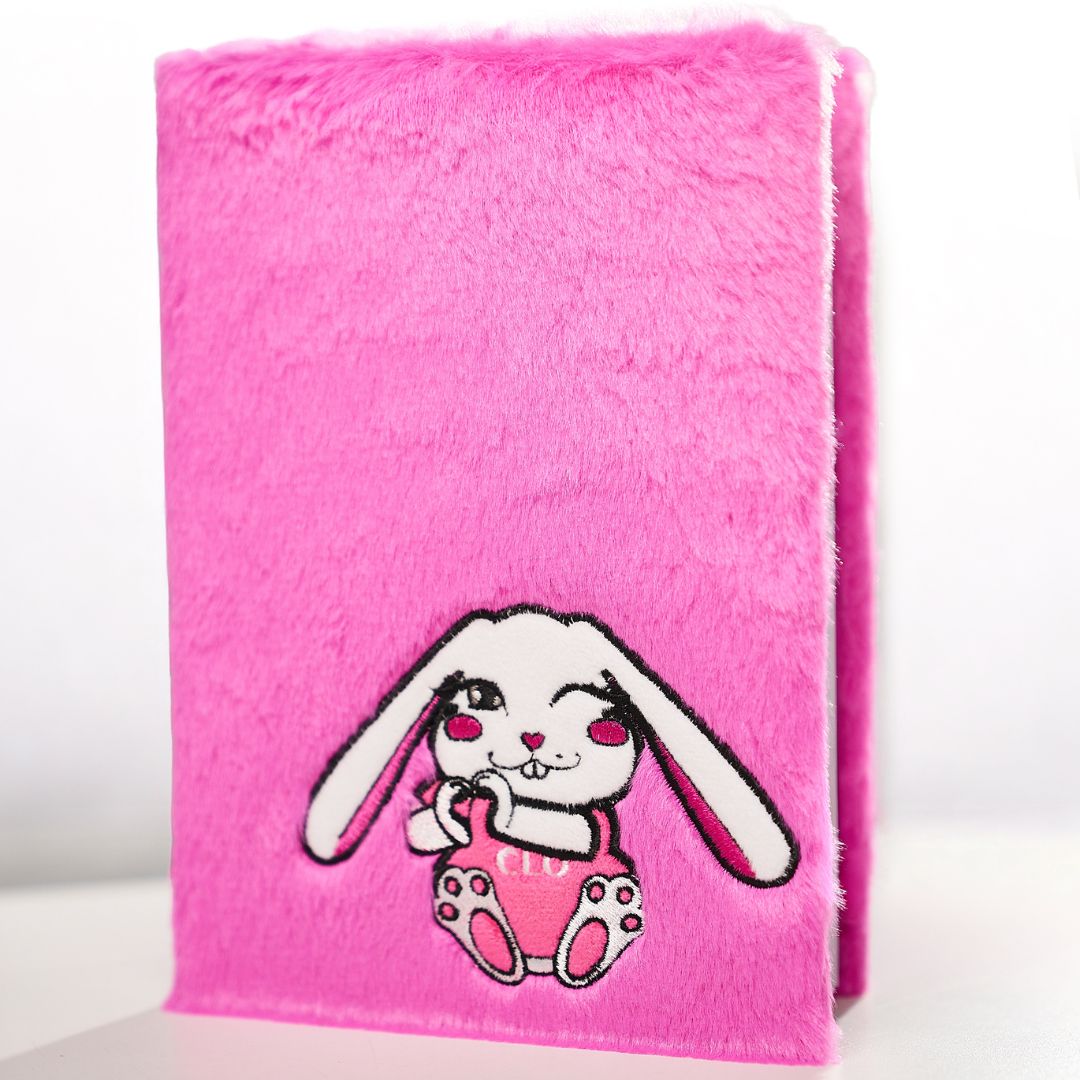 💕 Set Agenda Puffy + clips 📎 💗